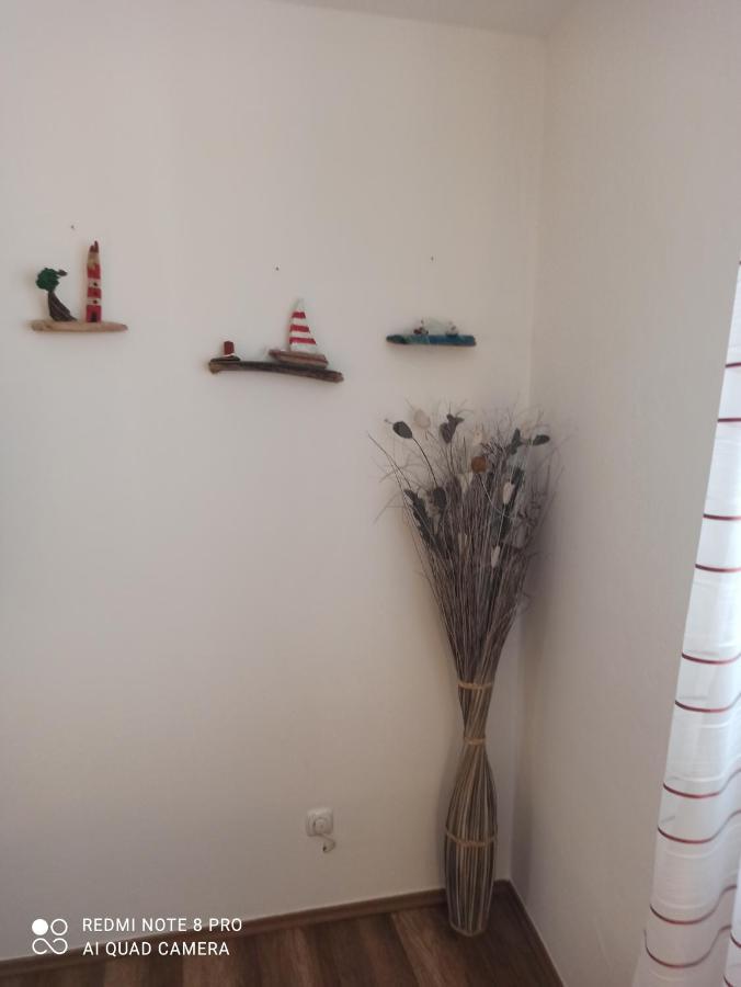 ביוגראד נה מורו Apartments Vrime מראה חיצוני תמונה